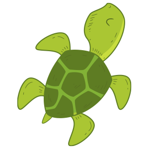 Tartaruga 1