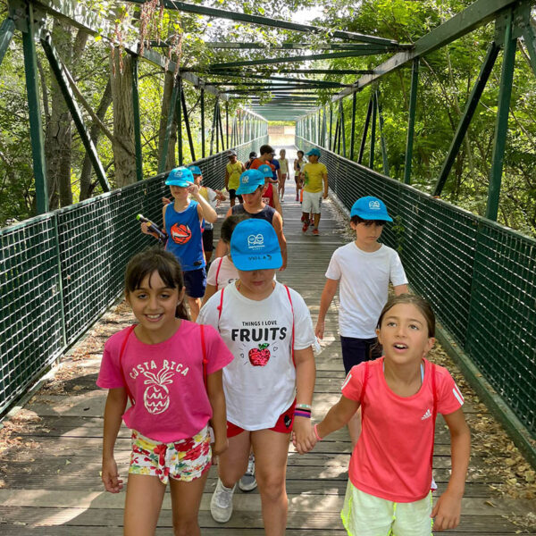 Abruzzo Sport   Campus estivo (3)